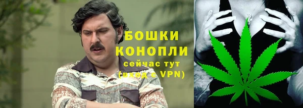 ГАЛЛЮЦИНОГЕННЫЕ ГРИБЫ Абдулино