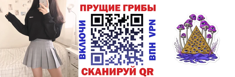 Галлюциногенные грибы Psilocybe  Ак-Довурак 