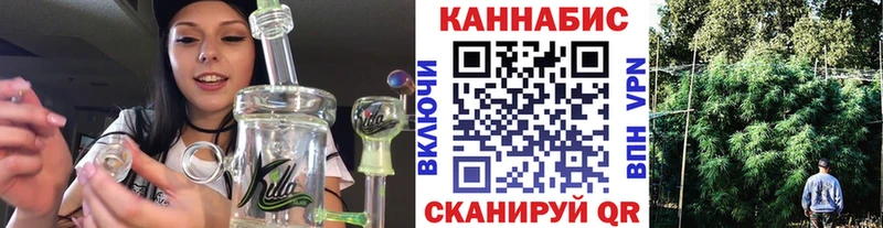 Бошки Шишки гибрид  Ак-Довурак 